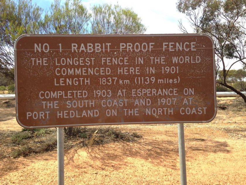rabbit proof 4