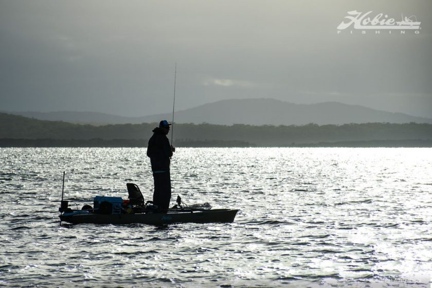 Bemm R2-5786