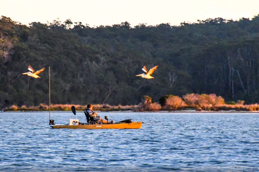 Mallacoota-0246