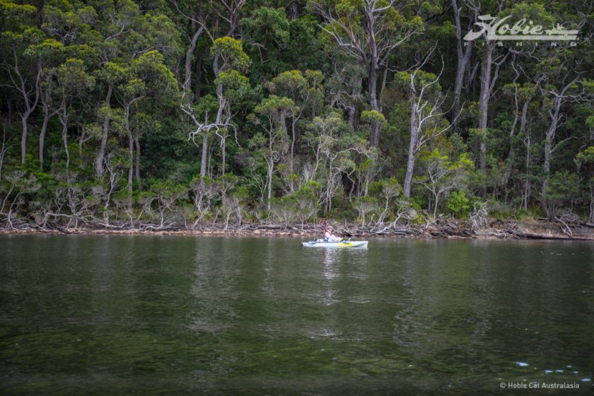 Mallacoota-6927