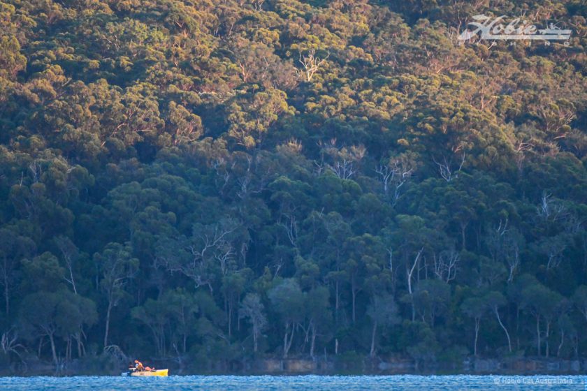 Mallacoota-7227