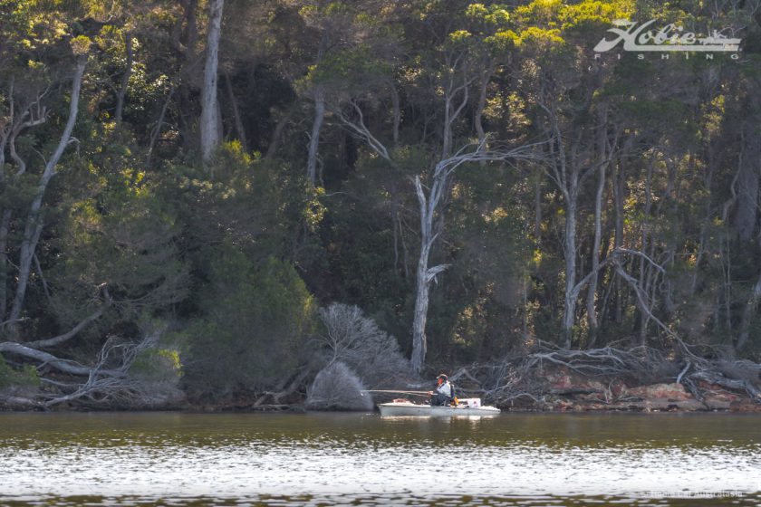 Mallacoota-7316