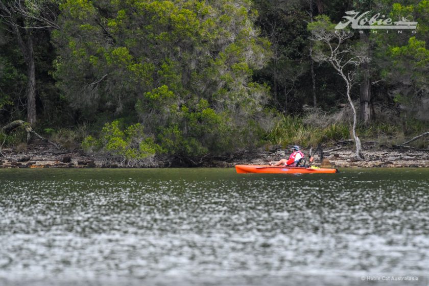 Mallacoota-9805