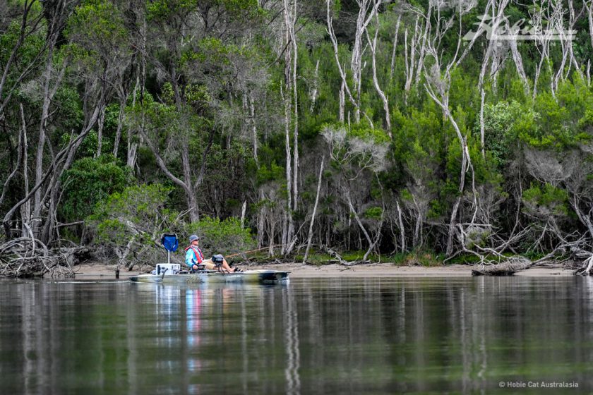 Mallacoota-9987