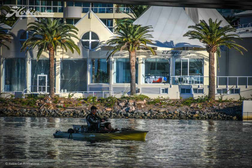 Gold Coast-0103
