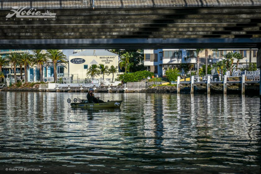 Gold Coast-0128