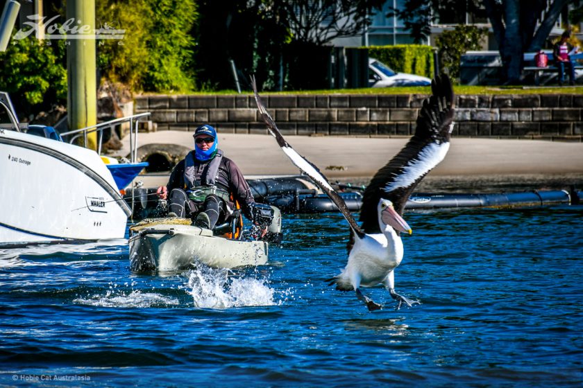 Gold Coast-0286
