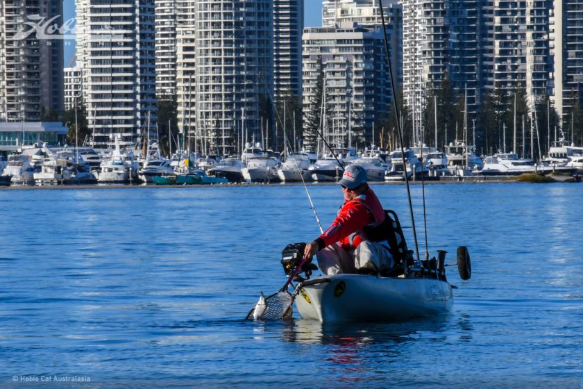 Gold Coast-2320
