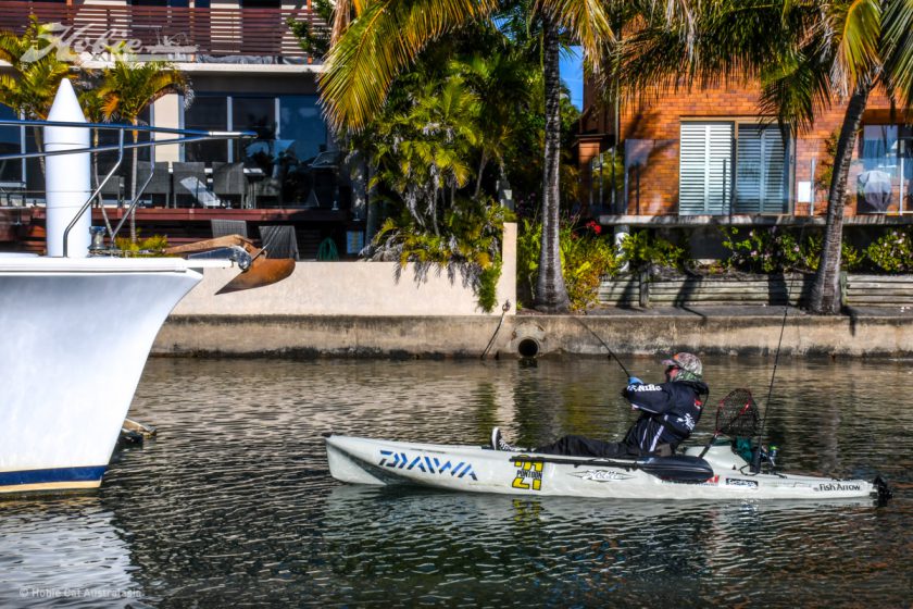 Gold Coast-2409