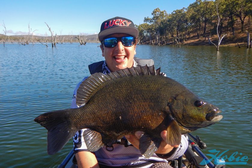 sooty_grunter_20181