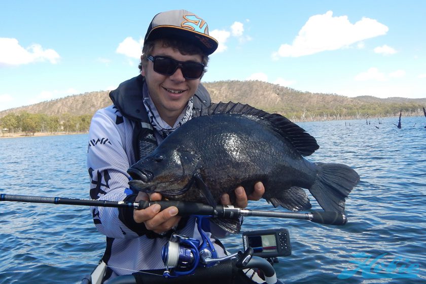 sooty_grunter_20182