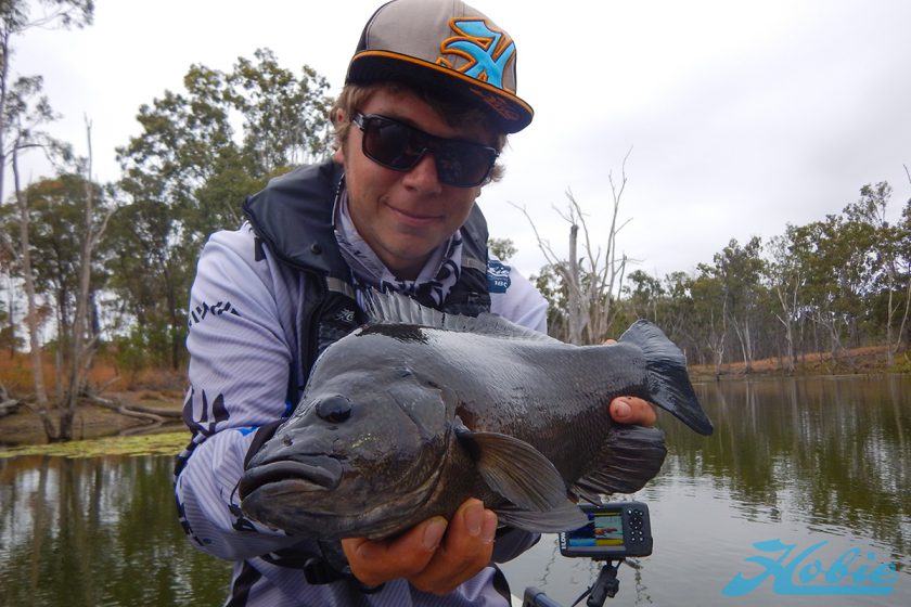 sooty_grunter_20186