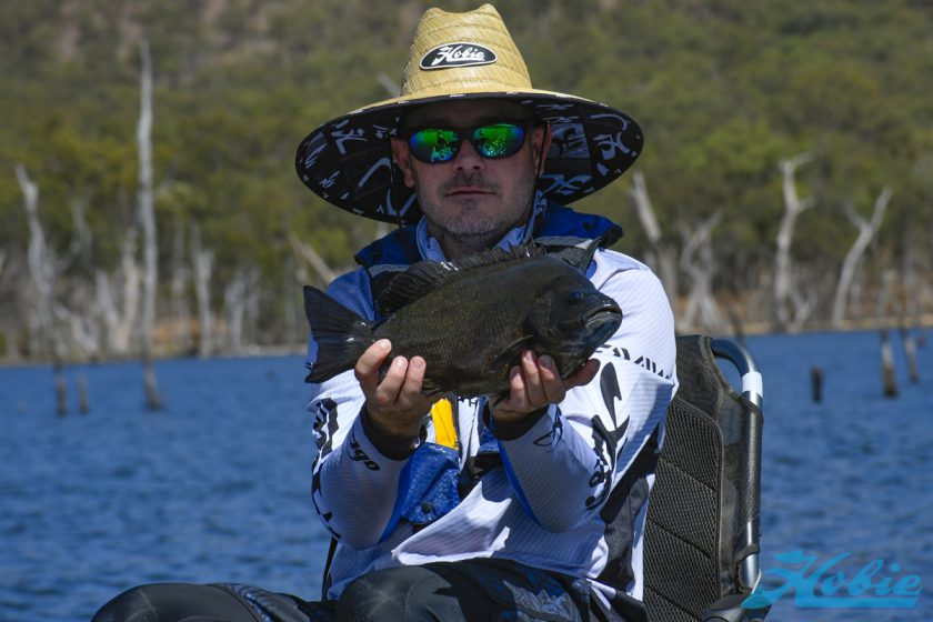 sooty_grunter_2018_DSC3039
