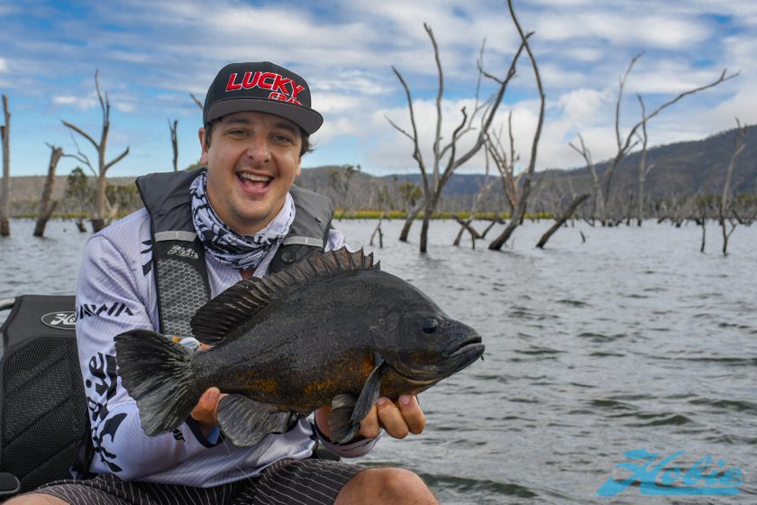 sooty_grunter_2018_DSC3185