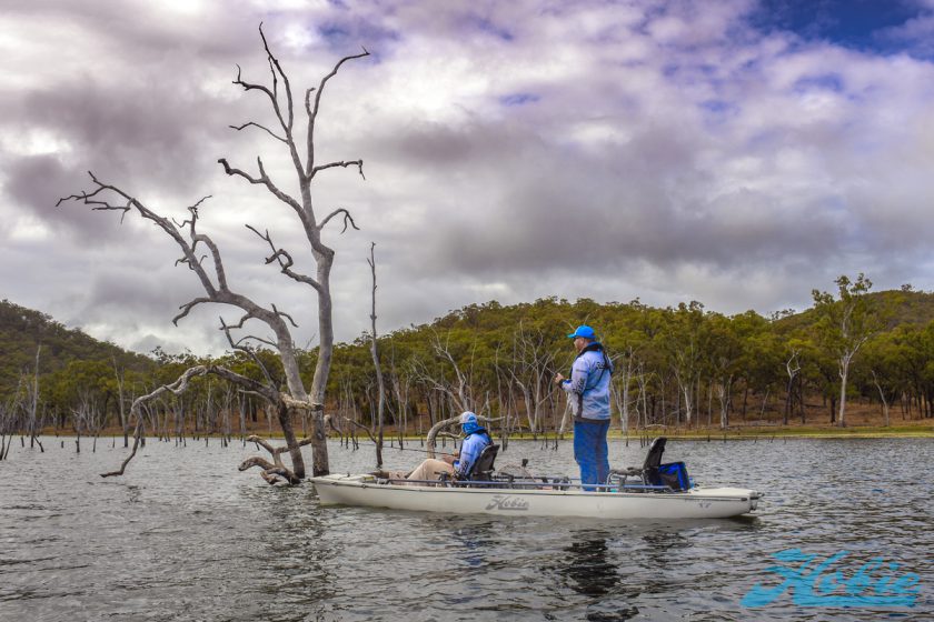 sooty_grunter_2018_DSC3262