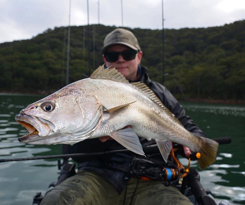 DAIWA PHOTO COMP20200408_0027