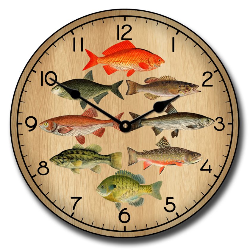 Fish C