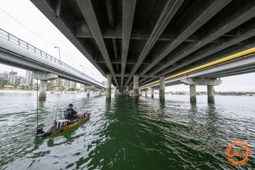 Hobie Fishing Series 14 Round 6 Gold Coast20230715 1865