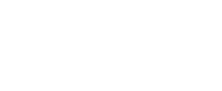 Logo Sponsor Lowrance Alt