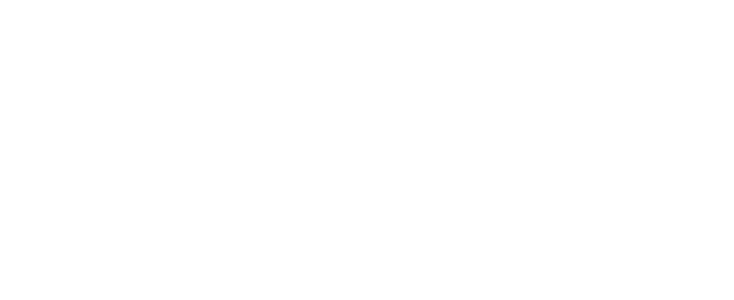 Logo Sponsor The Fly Alt