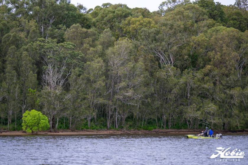 Hfs Rd4 Lake Macquarie Dsc8237 Dsc8237