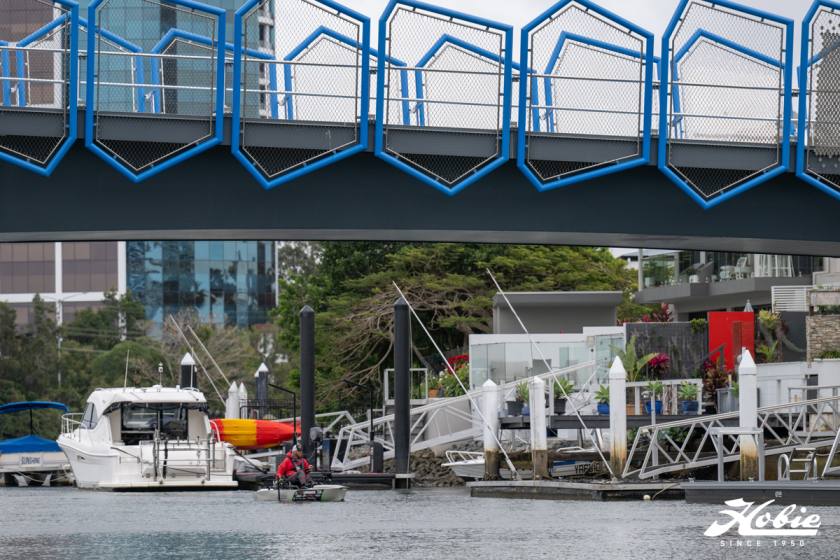 Hfs 16 Gold Coast 2025 Dsc0615 Dsc0615