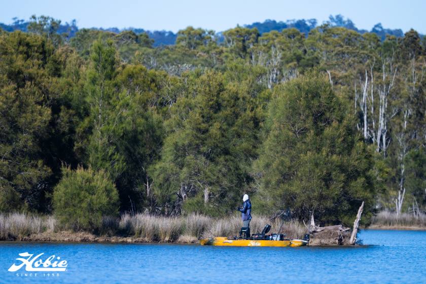 Hfs16 Wallaga 2025 Dsc1571 Dsc1571