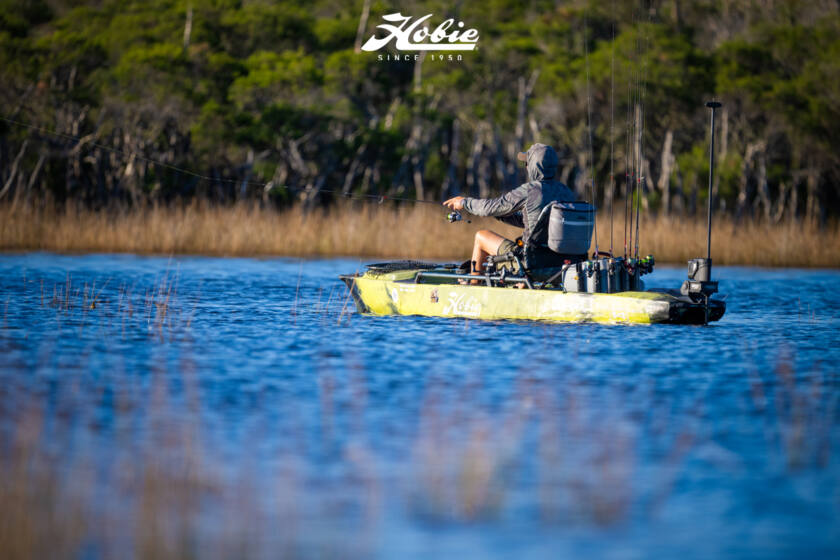 Hfs 17 Bemm River 2026 Dsc2289 Dsc2289