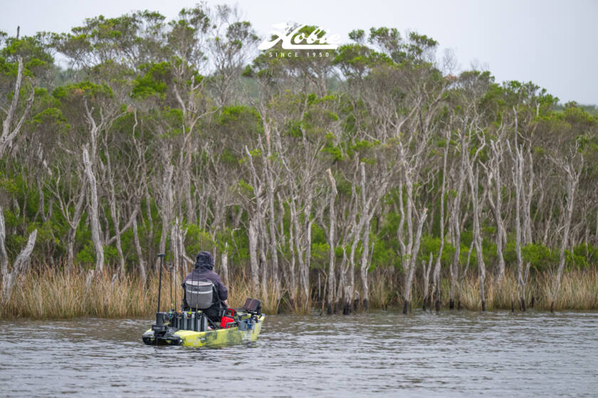 Hfs 17 Bemm River 2026 Dsc2522 Dsc2522