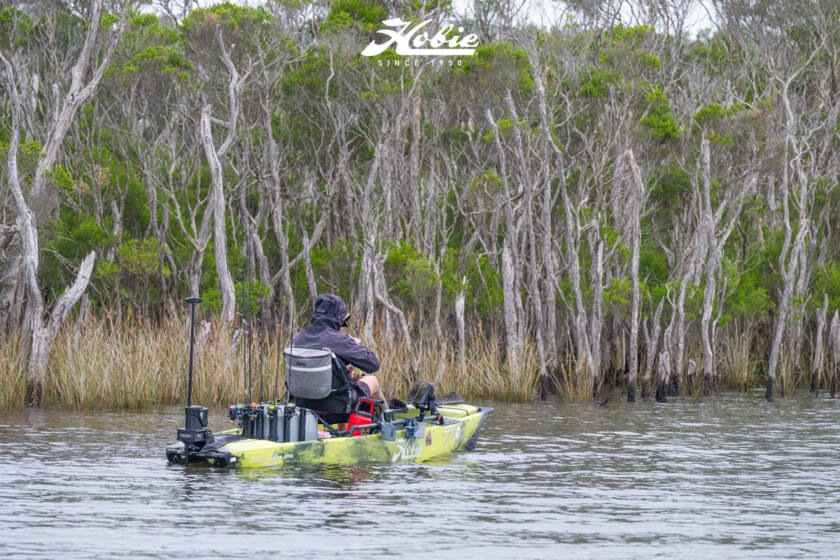 Hfs 17 Bemm River 2026 Dsc2524 Dsc2524