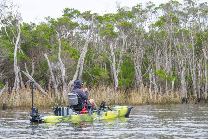 Hfs 17 Bemm River 2026 Dsc2529 Dsc2529