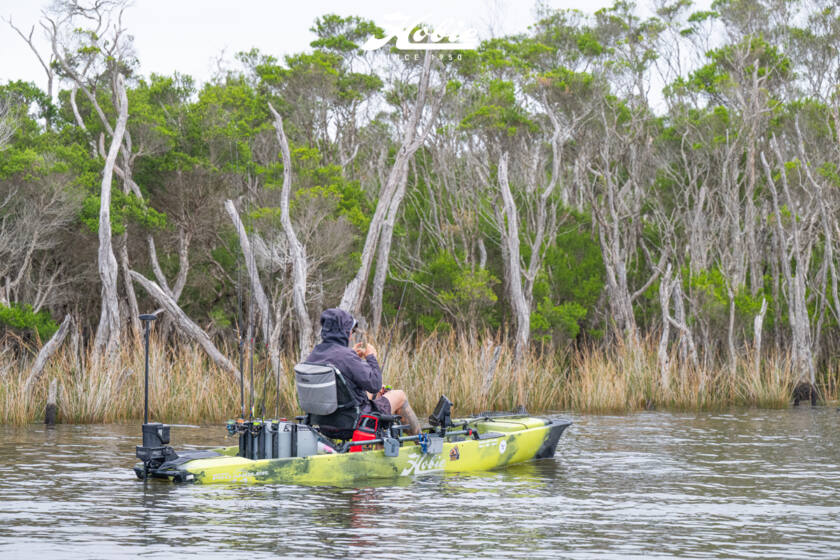 Hfs 17 Bemm River 2026 Dsc2531 Dsc2531