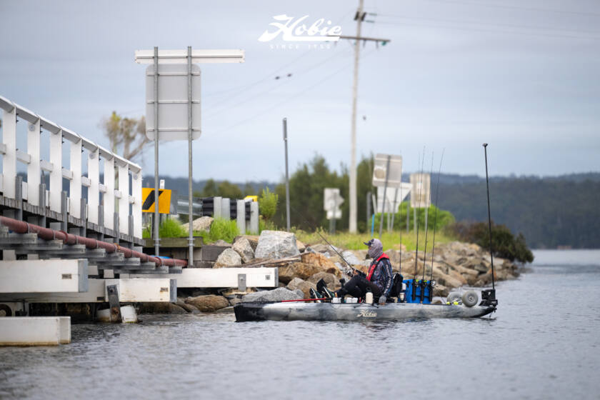 Hfs 17 Wallaga 2026 Dsc4404 Dsc4404
